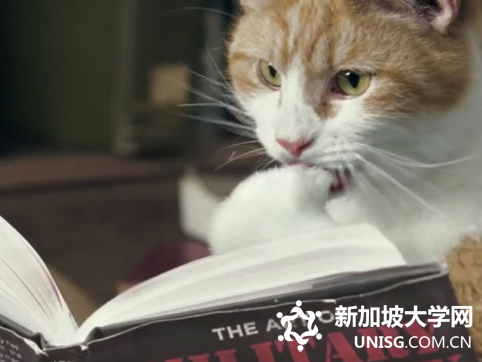 新加坡智源教育学院申请条件介绍