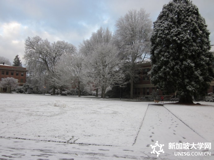 新加坡国立大学研究生优势专业推荐