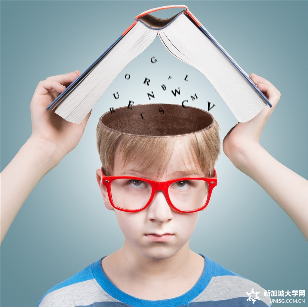 新加坡英华美学院申请条件介绍