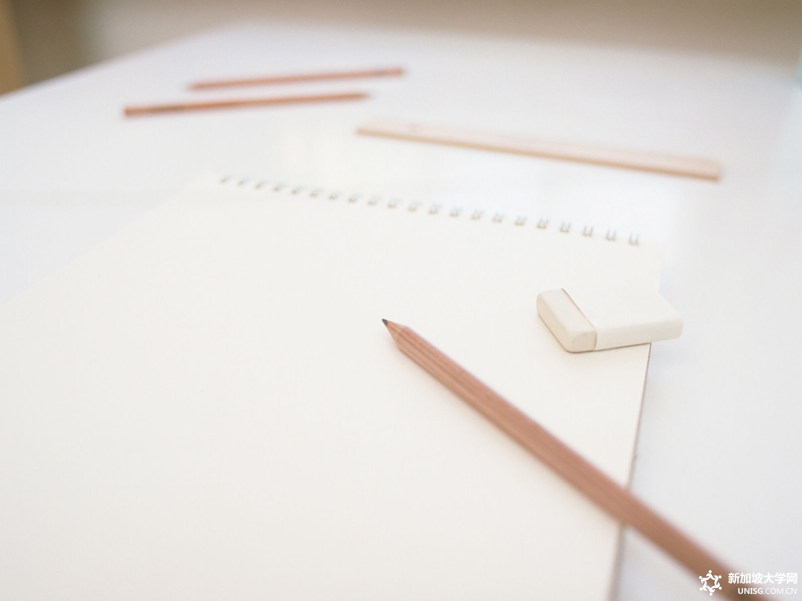 新加坡拉萨尔艺术学院申请条件介绍