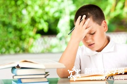 新加坡物流管理学院申请条件介绍