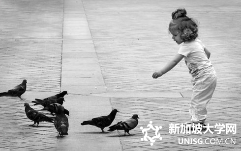 澳洲科廷科技大学新加坡分校留学签证绿色通道