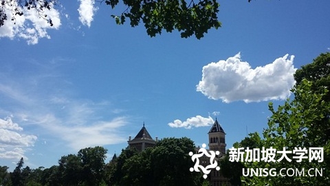 南洋理工大学团队研发新型新冠检测法，仅需一张纸！