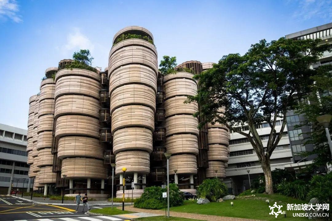 重新分配！新加坡南大宣布将为国际学生提供更多宿舍名额