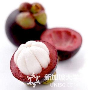 在新加坡你不可错过的十大热带水果