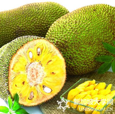 在新加坡你不可错过的十大热带水果