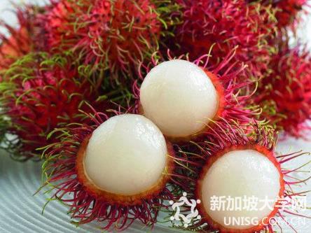 在新加坡你不可错过的十大热带水果