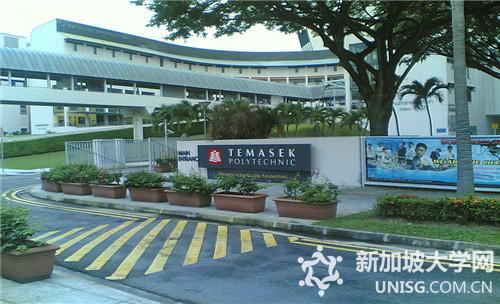 新加坡淡马锡理工学院商科系课程