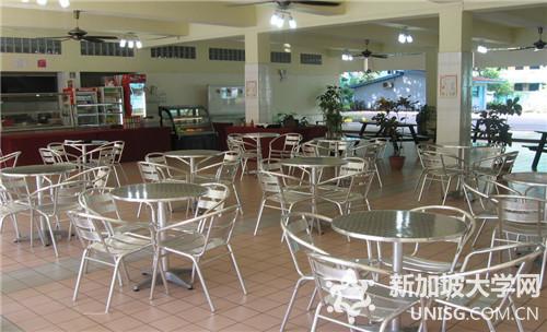 莎顿国际学院A水准考试课程