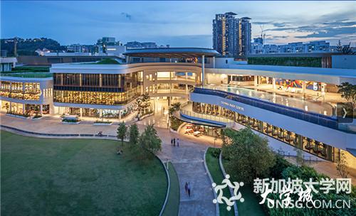 新加坡国立大学学院设置详情