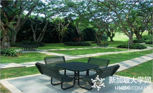 新加坡管理大学管理学硕士课程学生前身感受