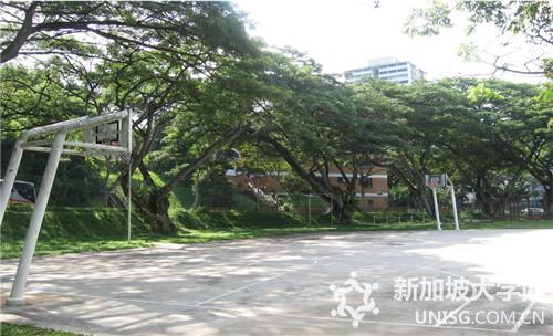 新加坡莎顿国际学院国际商业管理专业全面介绍