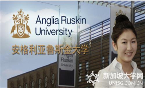 新加坡财经管理学院的商务基础课程深入解析