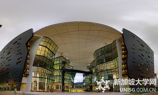 新加坡拉萨尔艺术学院,纯美术大专课程