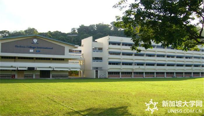 新加坡莎顿国际学院,课程设置