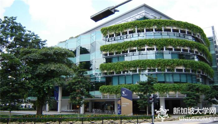 新加坡管理大学,优势专业