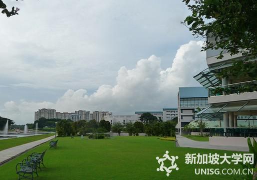 新加坡莱佛士高等教育学院本科什么专业好