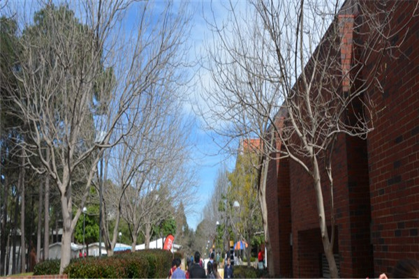 新加坡圣法兰西斯中学校长Lenie  Cho女士简介