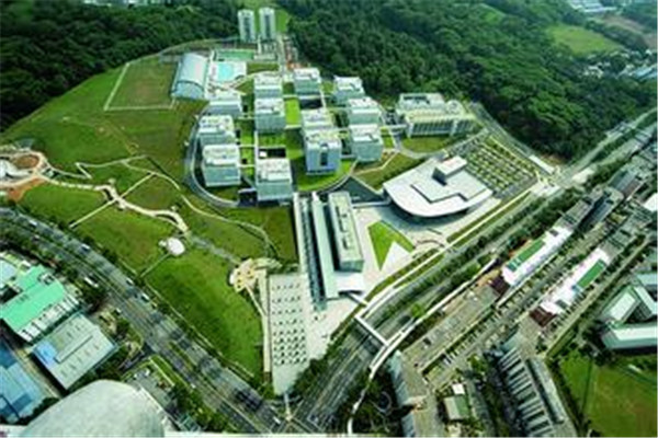 新加坡共和理工学院生物医学国际课程