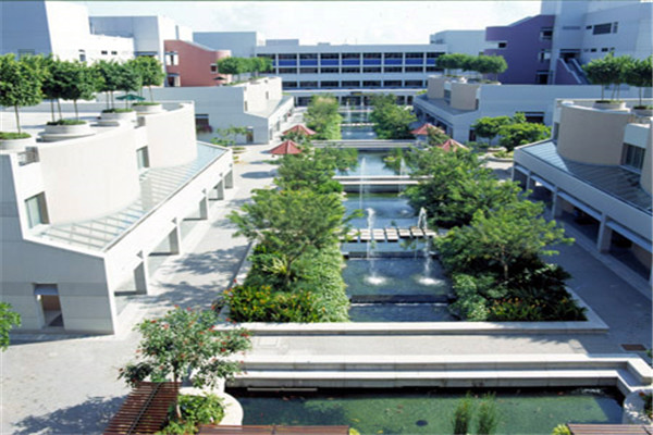 新加坡会计学院培养专业会计人才