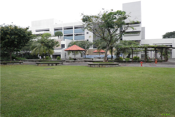 新加坡理工学院学科设置