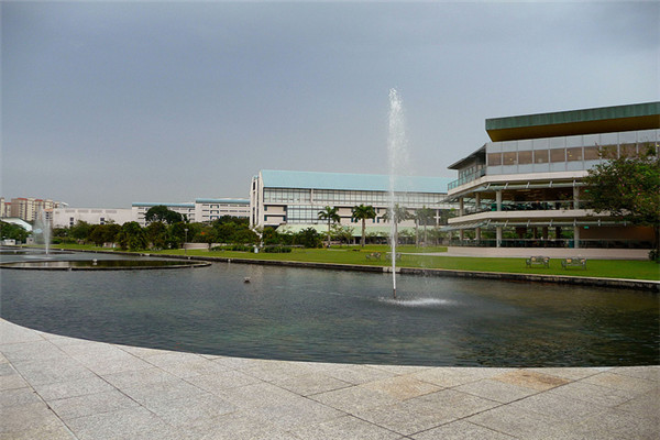 新加坡淡马锡理工学院资讯科技系专业简介