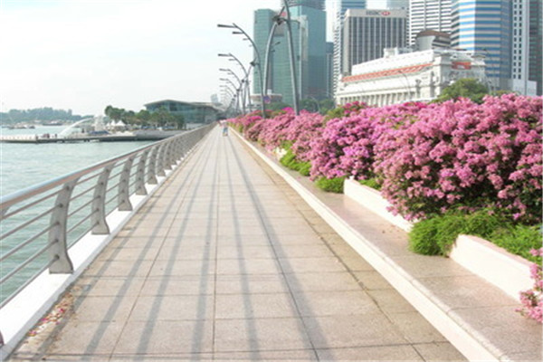 新加坡智亚国际学院留学新生入校注意事项