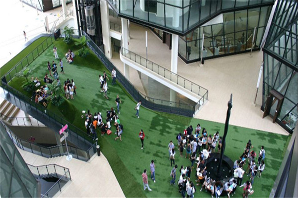 新加坡拉萨尔艺术学院舞台艺术专业申请要求