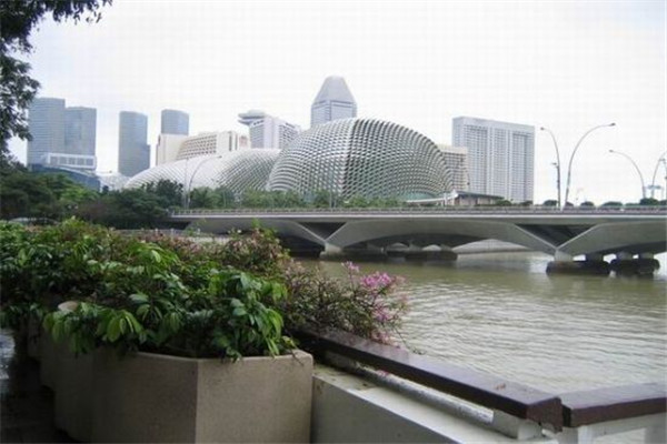 新加坡爱信国际学院课程设置一览