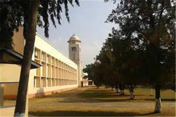 新加坡波士顿国际学院留学富有特色的美食介绍