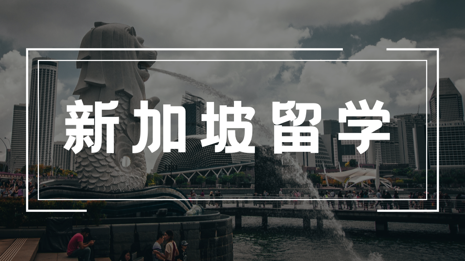 新加坡1+3国际本科有哪些热门专业？文理商科全覆盖设置详解